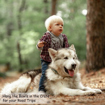 Stainless Steel Elevated Hanging Pet Bowls Set of 2