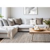 Rug Branch Contemporary Distressed, Tonal/Solid Grey Indoor Area Rug - 2 of 4