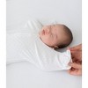 Swaddledesigns Transitional Swaddle Sack Wearable Blanket - White