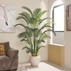 DR.Planzen Multi-Height Artificial Palm Tree in White Pot (6/7/8FT), Lifelike Faux Palm Plant for Indoor & Outdoor Home Decor - 2 of 4