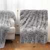 Cheer Collection Long Shaggy Hair Throw Blanket - Silver (60" x 70") - 3 of 4