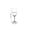 Riedel (Set of 2) 15.75 fl oz Vinum Champagne Wine Glasses - 4 of 4