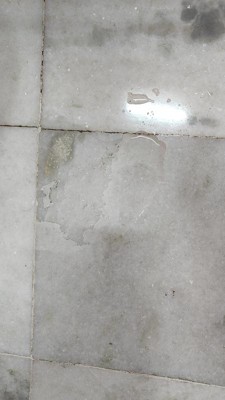 Guest review image 1 of 6, zoom in