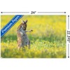 Trends International The Comedy Wildlife Photography Awards: Jason Moore - Air Guitar Roo Unframed Wall Poster Prints - 3 of 4