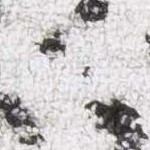 black, light gray, white, gray