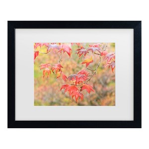 Trademark Fine Art - Beata Czyzowska Young Falltime In My Garden Matted Framed Art - 1 of 4