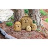 Tierra Garden Natural Granite Boulder Dog – Unique Hand-Carved Stone Pet - 4 of 4