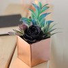 Northlight 7" Mixed Succulent Artificial Potted Arrangement - Green/Black - image 3 of 4