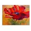 Trademark Fine Art -Marion Rose 'Red Poppy II' Canvas Art - 2 of 3