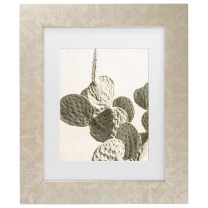 Trademark Fine Art - Shot by Clint Mexi Catus 02 Matted Framed Art - 1 of 4