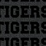 memphis tigers