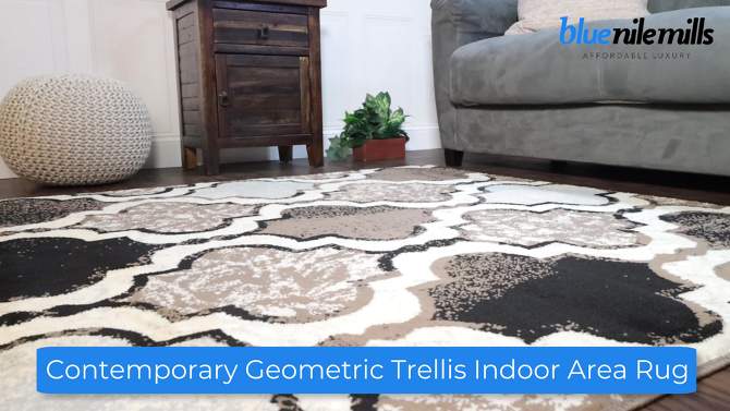 Contemporary Trellis Geometric Indoor Runner or Area Rug by Blue Nile Mills., 2 of 8, play video