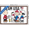 Trends International Team USA x Peanuts – Olympic Hockey Team Framed Wall Poster Prints - 3 of 4