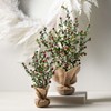 20"H & 16"H Sullivans Artificial Boxwood Berry Christmas Tree Set of 2, Green-Red, Indoor Christmas Decor - 4 of 4