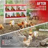 Jojoka Heavy-Duty Chicken Nesting Boxes, Comfortable Environment for Hens - 4 of 4