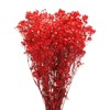 Unique Bargains Natural Dried Baby's Breath Flowers Branches for Wedding Party Decoration Red 1 Pc - 3 of 4