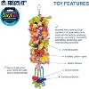 Prevue Pet Products 62606 Calypso Creations Club Bird Toy, Multicolor - 3 of 3
