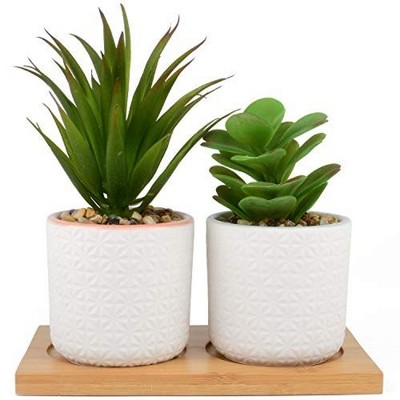 Impresa Set of 2 Artificial Succulent Plants in White Ceramic Pots with Bamboo Tray - 6.5” tall
