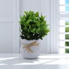 Unique Bargains Artificial Plants Plastic Green 3.74"x3.74"x9.06" 1 Pc - 2 of 4