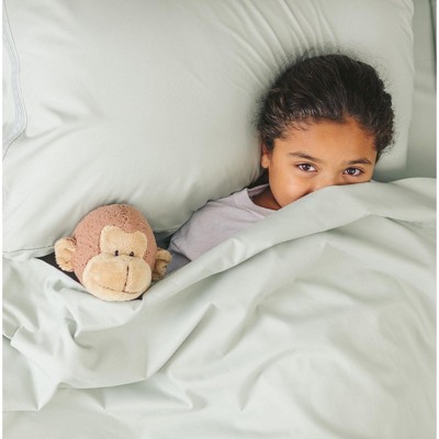 Sage Pearl Embroidered Microfiber Queen Sheet Set