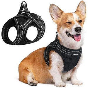 rabbitgoo Small Dog Harness, Soft Mesh Dog Harness with 5 Adjustable Straps, No Pull Dog Vest , Black, Large - 1 of 1