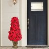 Puleo 36" Pre-Lit Battery-Operated Artificial Potted Red Poinsettias - 2 of 4