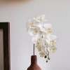 Floral Home 29" White Phalaenopsis Stem with 9 Flowers - 12-Piece - 4 of 4
