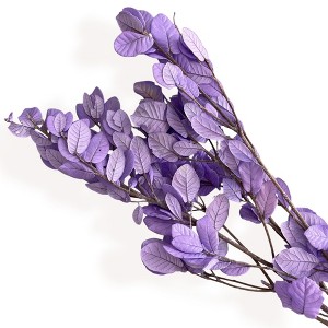Alilang Decorative Dried Leafy Branches for Modern Home Decoration and Floral Arrangements, 15.5 Inches - 1 of 3