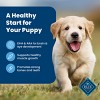 Blue Buffalo Life Protection Formula Natural Puppy Dry Dog Food with Chicken and Brown Rice - 4 of 4