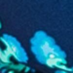 barbados blue
