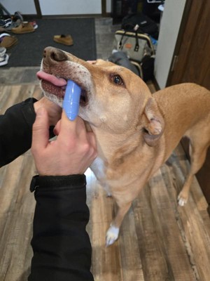 Guest review image 3 of 3, zoom in