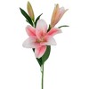 Northlight Real Touch™ Pink Artificial Lily Floral Stems, Set of 6 - 38" - 3 of 4
