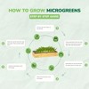 Hamama Home Microgreens Growing Kit, Sprouting Kit, Non-GMO Microgreen Seeds Includes Standard Tray & Organic Microgreen Seeds - 4 of 4