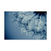 Trademark Fine Art -Beata Czyzowska Young 'Blues in the Evening' Canvas Art - 2 of 3