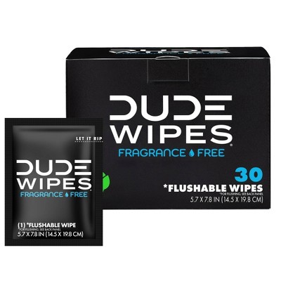 Best Buy: DUDE PRODUCTS DUDE WIPES 30pk Single Flushable Wipes For Travel  DW-30