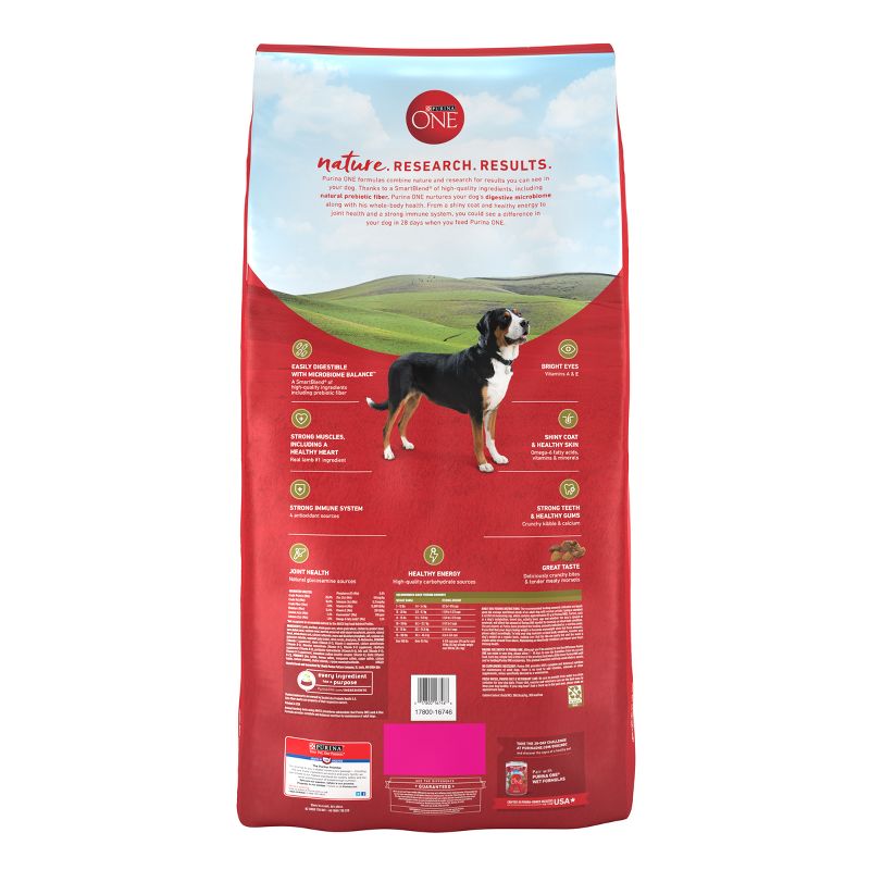 Purina ONE SmartBlend Natural Dry Dog Food with Rice and Lamb, 4 of 9
