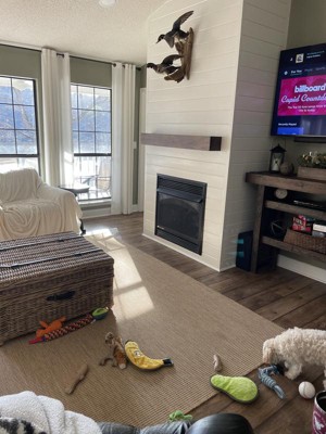 Nuloom Rosy Classic Indoor/outdoor Area Rug 2' X 3' In Natural : Target