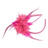 Unique Bargains Women's Flower Feathers Headband 1 Pc - 4 of 4