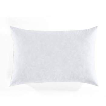 Wayfair Basics Pillow Insert Size: 11 x 21