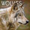 TF Publishing 13.5"x14.5" 2026 Wolves Wall Calendar - 2 of 4