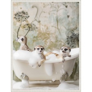 Amanti Art Meerkat Bubble Bath by Niky Rahner Framed Canvas Wall Art - 1 of 4