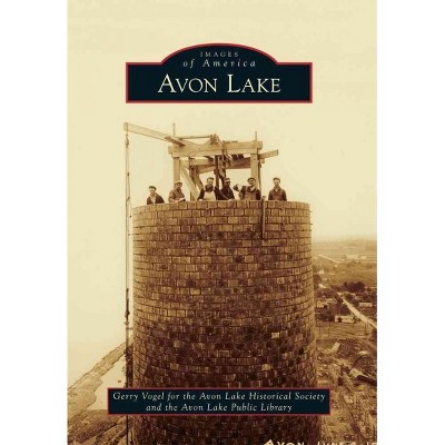 Avon Lake - by Gerry Vogel (Paperback)