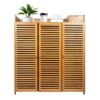 YIYIBYUS Bamboo Shoe Cabinet with Doors Freestanding Shoe Storage - 4 of 4
