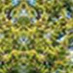 brown rattan and navy cushion