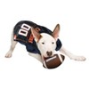 NCAA Virginia Cavaliers Pets Mesh Jersey - 3 of 4