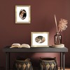 Americanflat Picture Frame with Oval Mat Insert and Shatter-Resistant Glass - Signature Collection - Photo Frame for Wall Display - 4 of 4