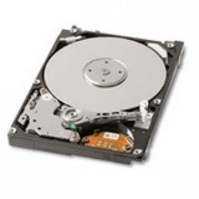 Toshiba MK2546GSX 250 GB Hard Drive - 2.5" Internal - SATA (SATA/300) - 5400rpm - 8 MB Buffer - Hot Swappable