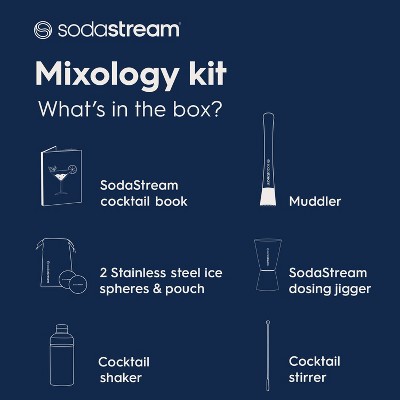 Silver Stainless Steel Mixology Kit with Jigger and Muddler