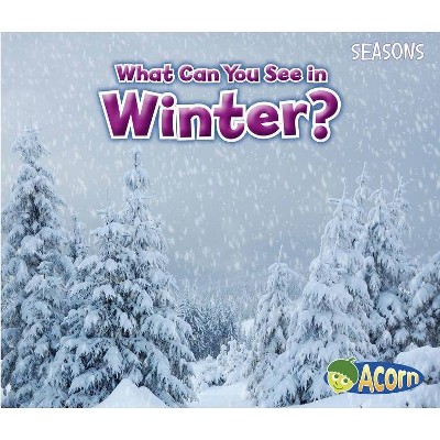 What Can You See in Winter? - (Seasons) by  Sian Smith (Paperback)