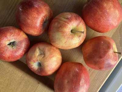 Guest review image 1 of 1, zoom in